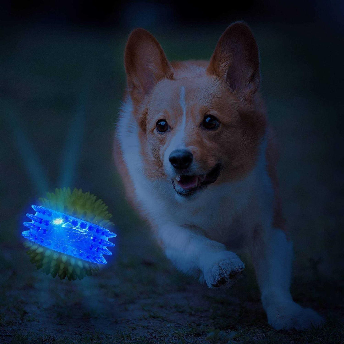 Translucent TPR 3-Part Spike LED & Squeak Ball Dog Toy J586