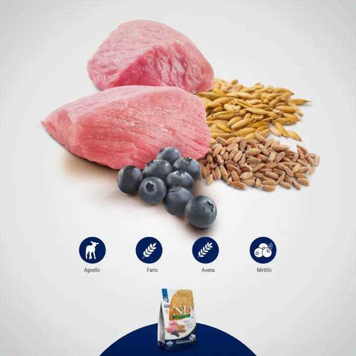 Farmina N&D Ancestral Grain Lamb & Blueberry Mini Adult Dry Dog Food Z7533