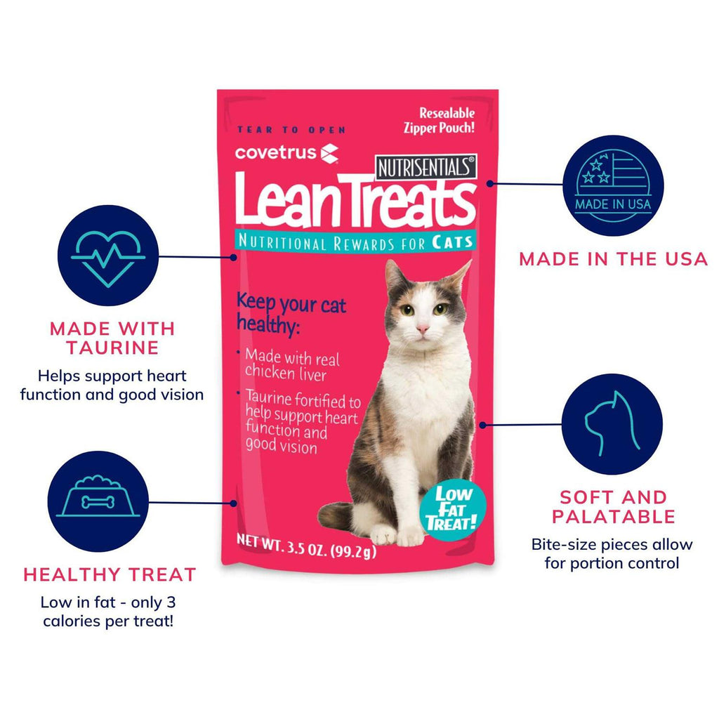 Soft Cat Treats V77722