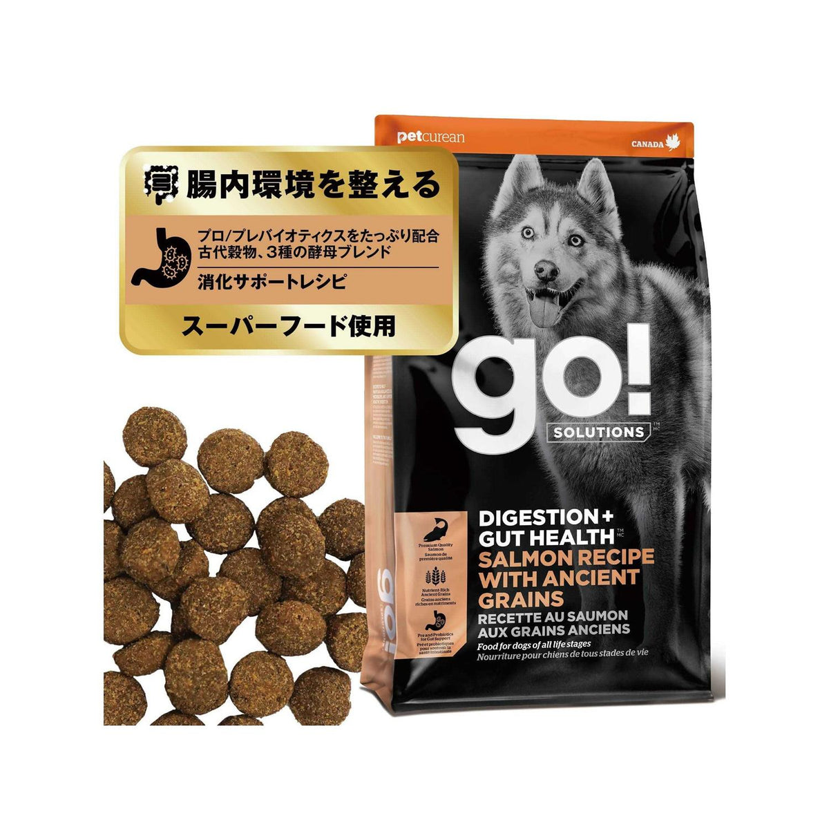 Salmon Recipe with Ancient Grains Dog Food J371