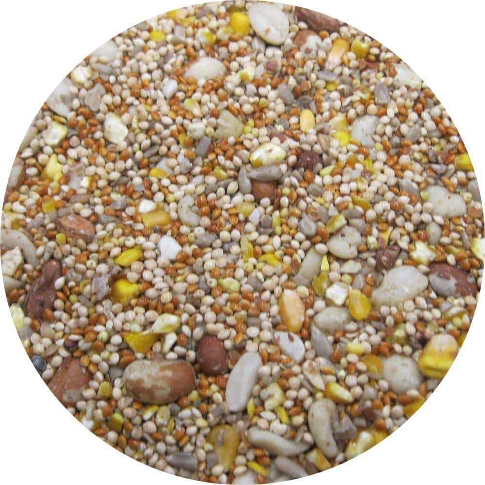 Wild Bird Food M72649