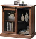 31'' Farmhouse Storage Cabinet with Sliding Barn Door and Adjustable Shelf N99169