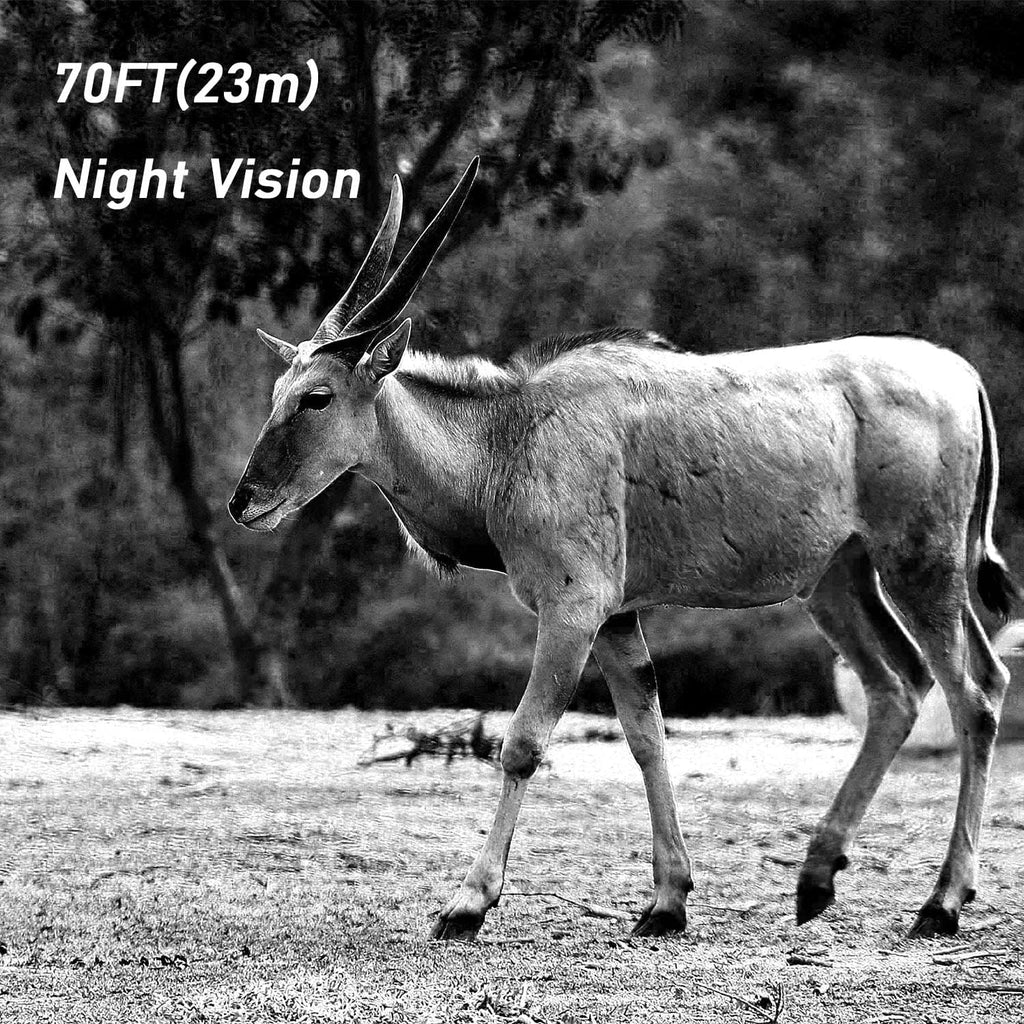 20MP Trail Camera with Night Vision M51128