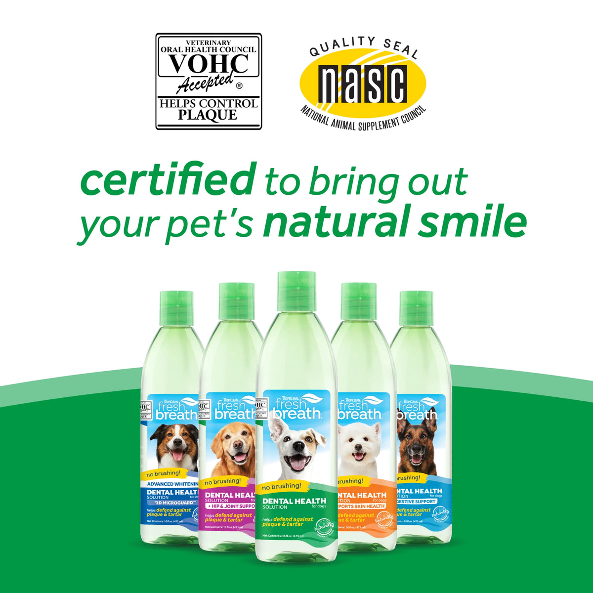 16oz Oral Care Water Additive for Dogs G14085