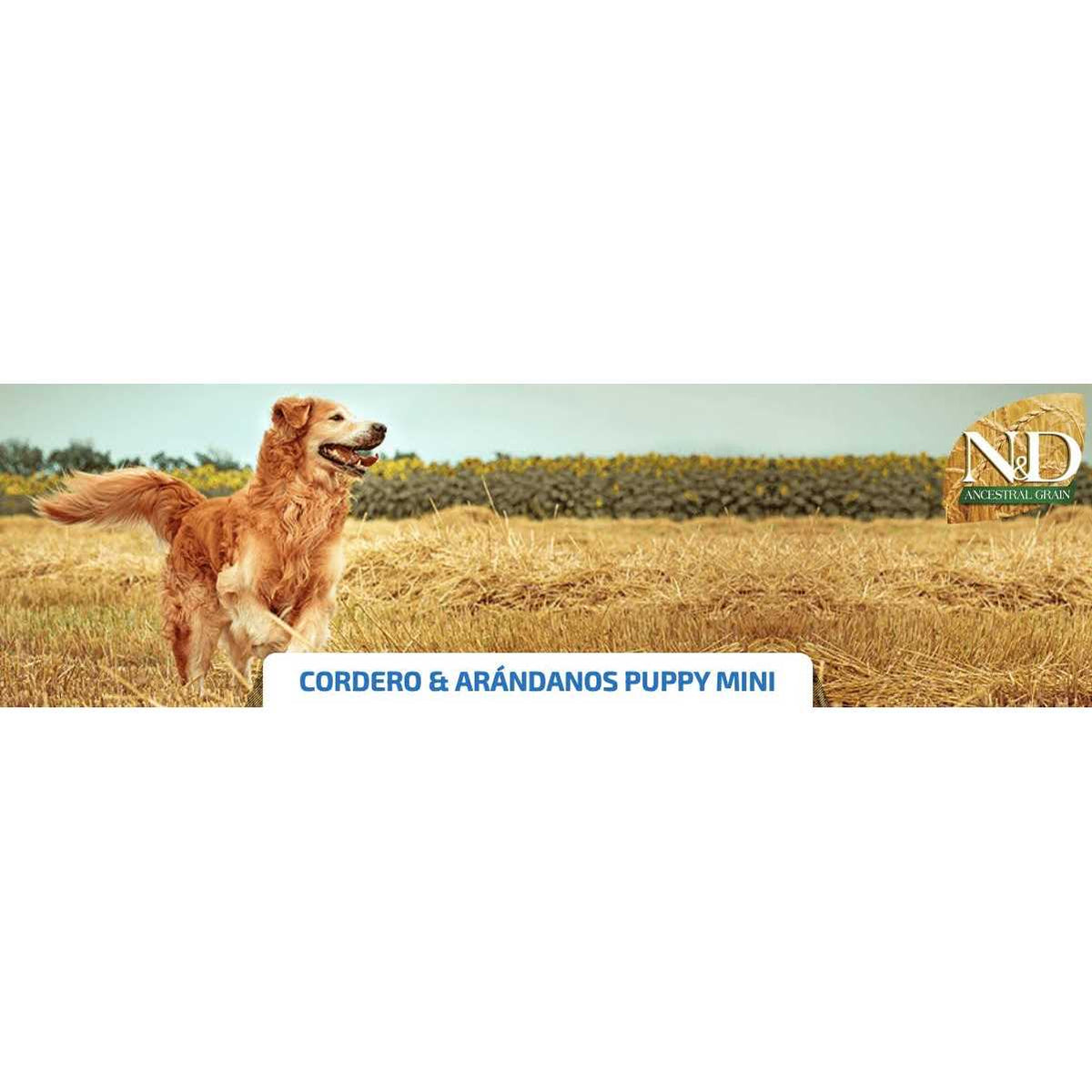 Farmina N&D Ancestral Grain Lamb & Blueberry Mini Adult Dry Dog Food Z7533