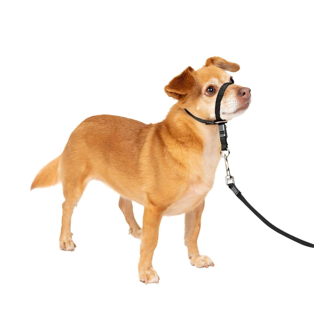 Headcollar L411301