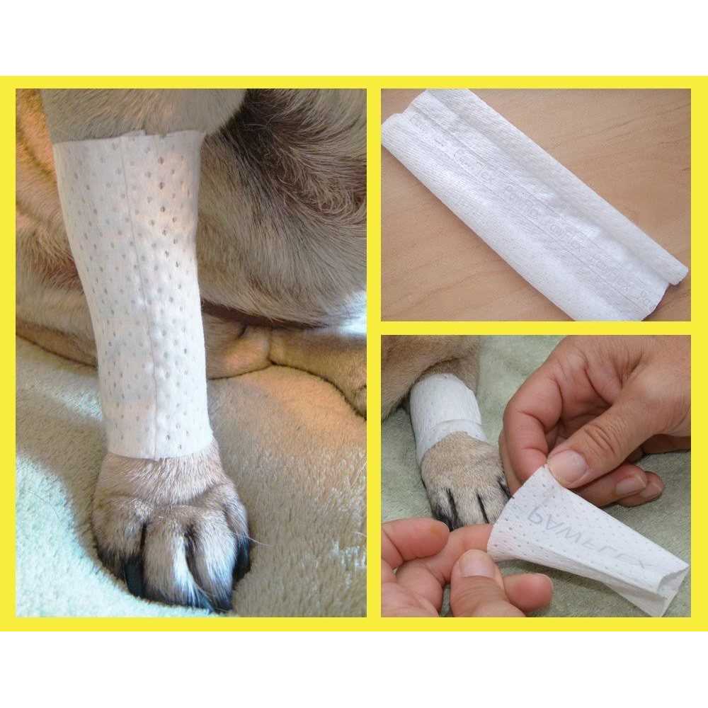 Protective Dog Bandage Cover H235571