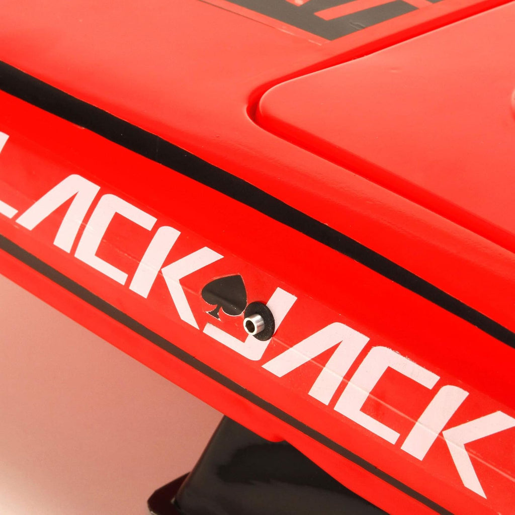 Blackjack 24 Brushless Catamaran RTR R266