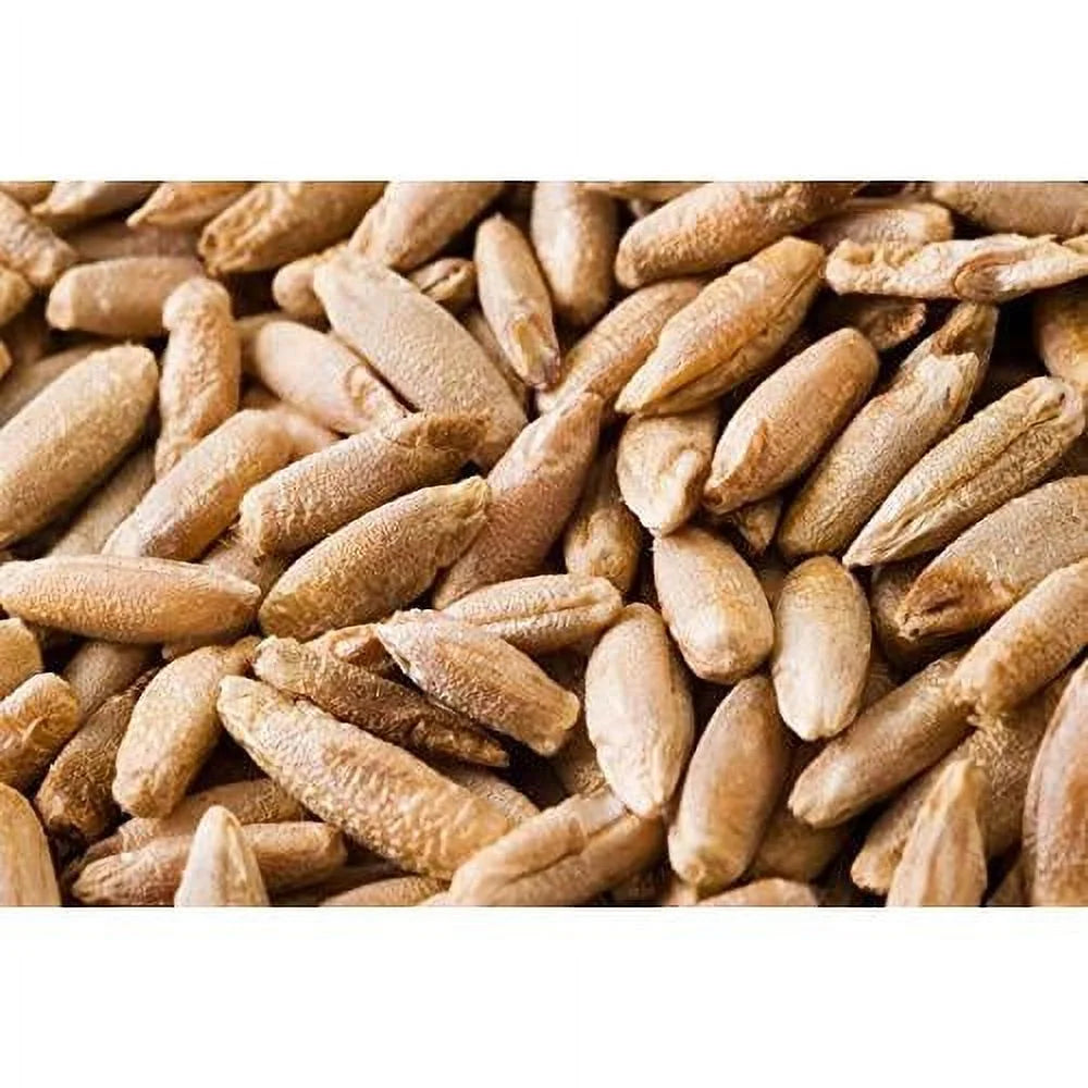 22 Pound Bag Of Rye Berries L5322