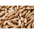 22 Pound Bag Of Rye Berries L5322