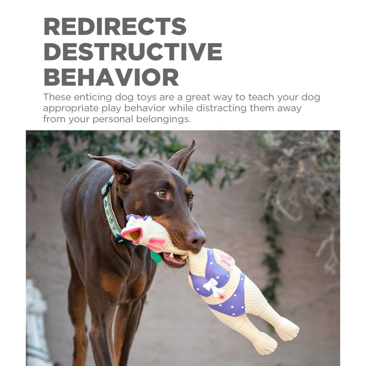 Latex Pet Toy K637