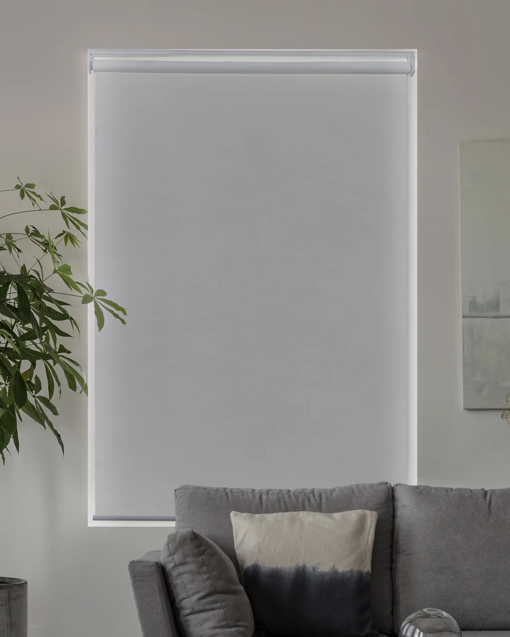 Cordless Roller Shade Blackout 23"W X 72"H G91503