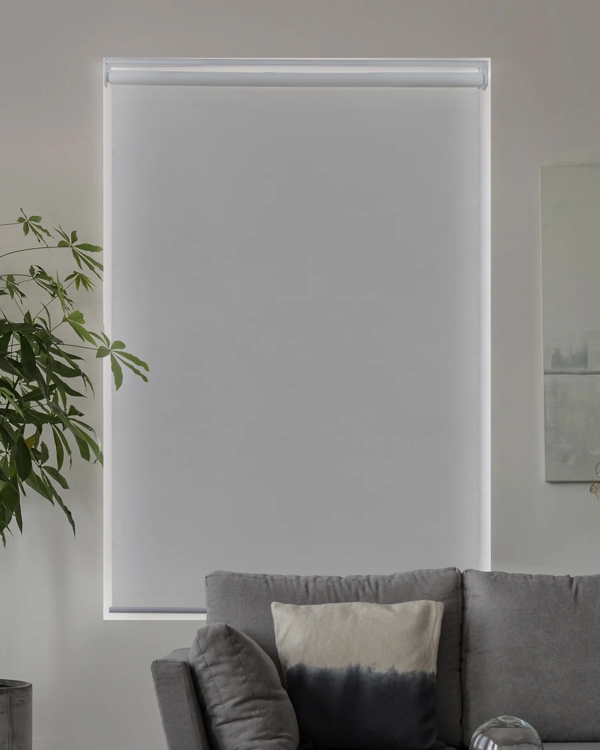 Cordless Roller Shade Blackout 23"W X 72"H G91503