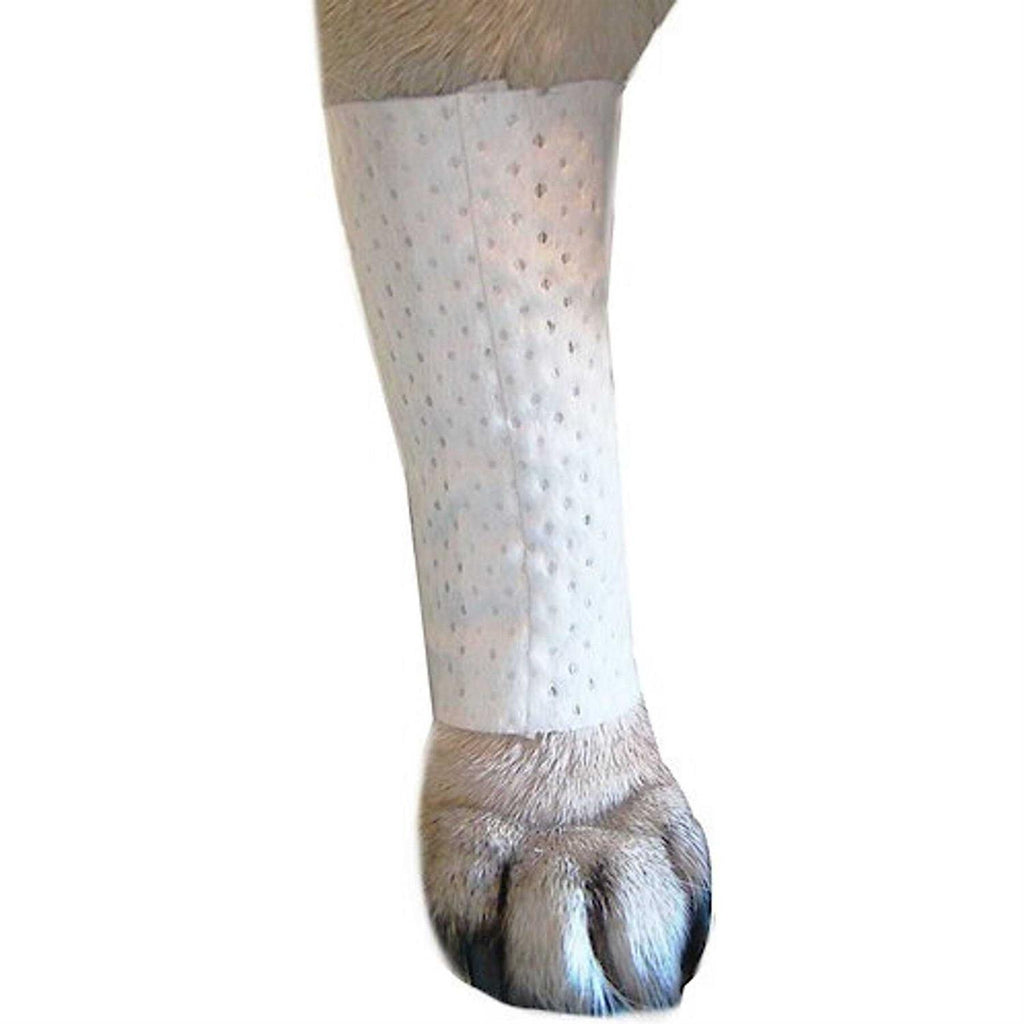 Protective Dog Bandage Cover H235571