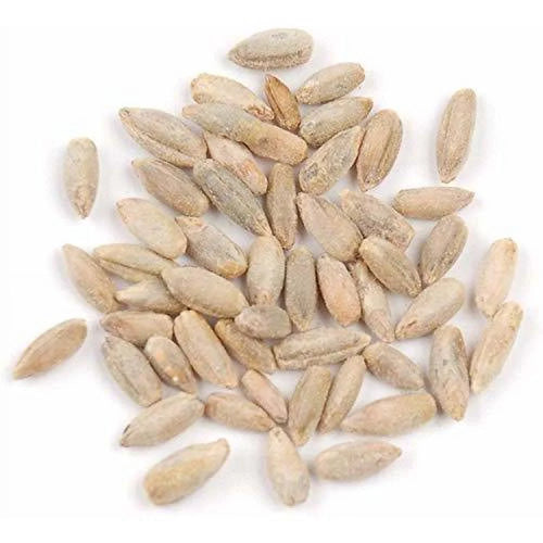 22 Pound Bag Of Rye Berries L5322