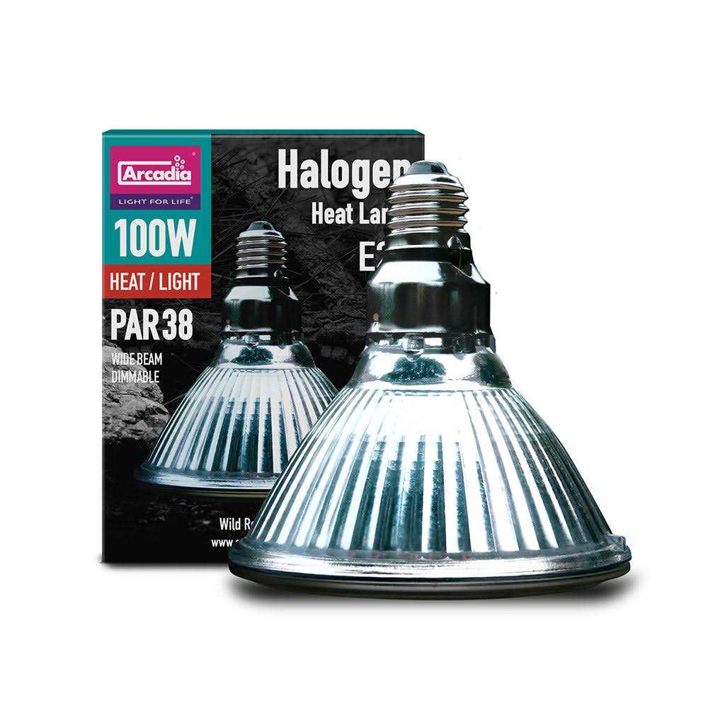 Halogen Heat Lamp H41659