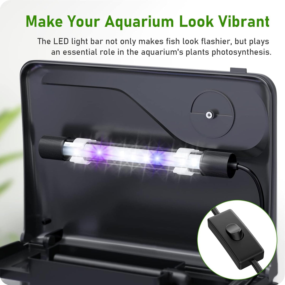 2 Gallon Glass Fish Tank with Filter Light Z983801