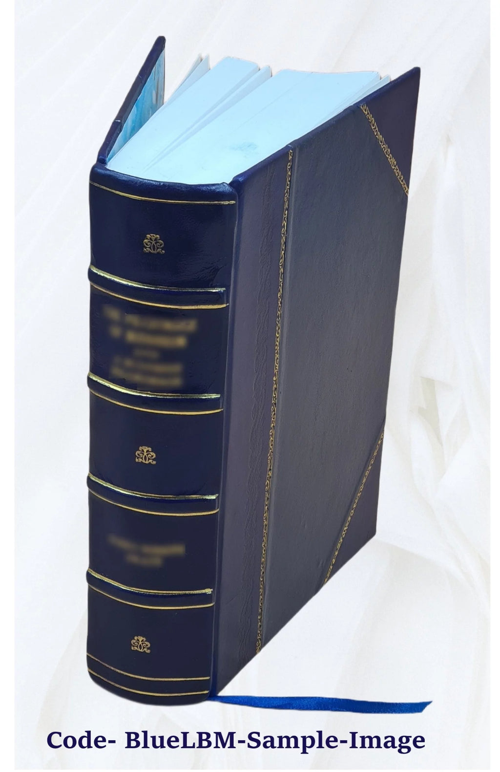 Nineteenth Ohio Battery Volunteer Artillery Leather Bound G32901
