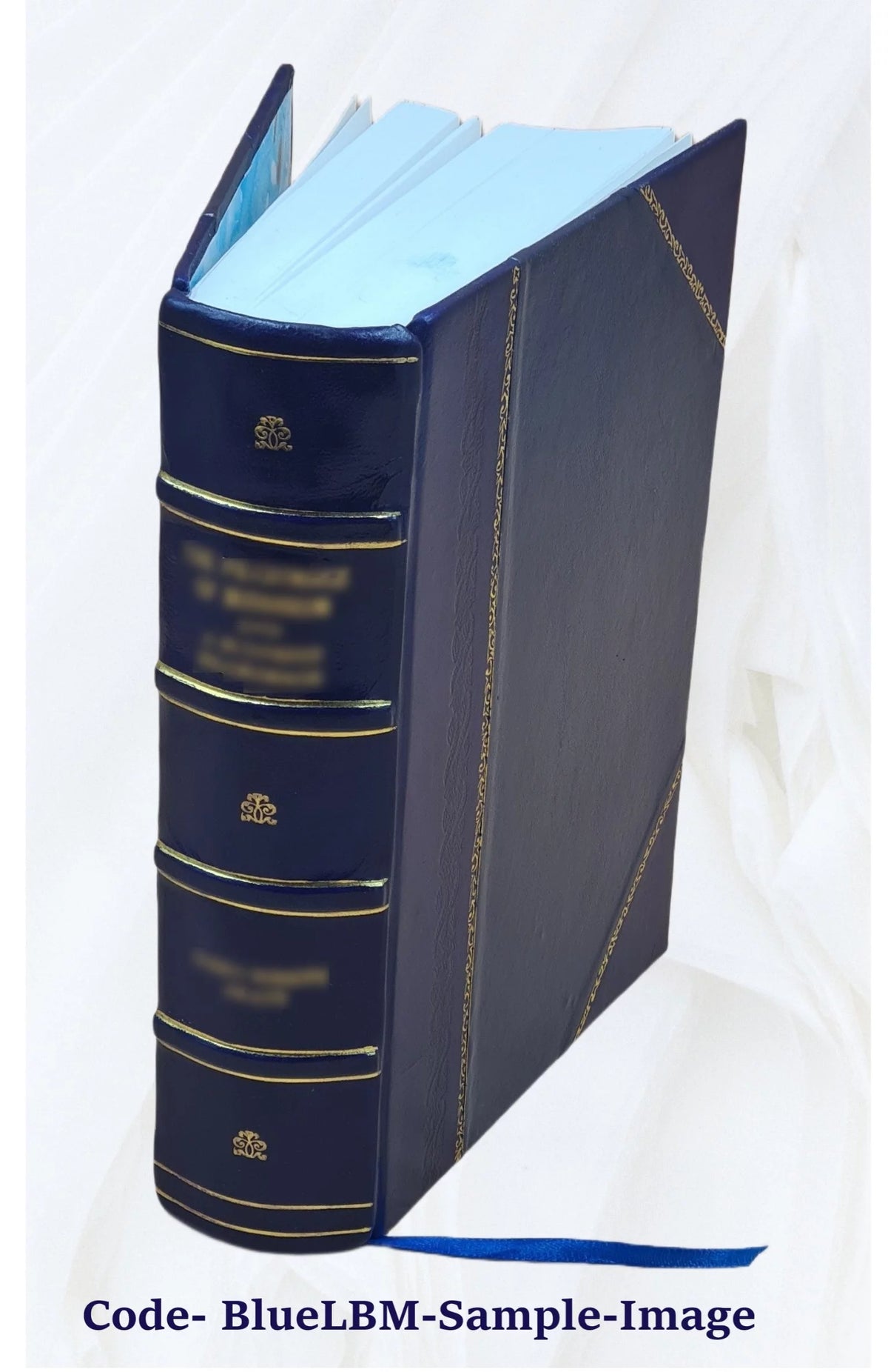 Nineteenth Ohio Battery Volunteer Artillery Leather Bound G32901