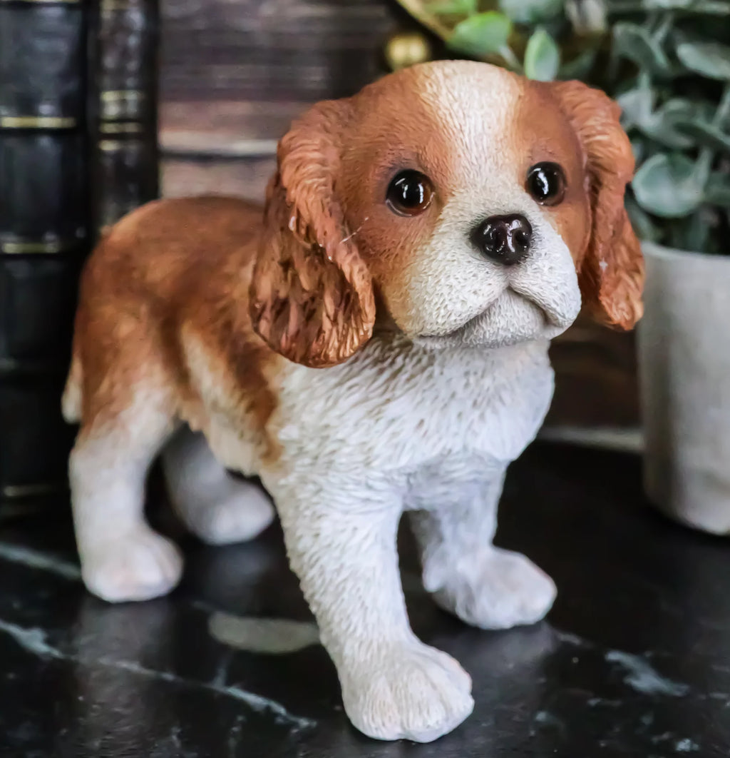 Cavalier King Charles Spaniel Dog Statue 6.25" Long Q638