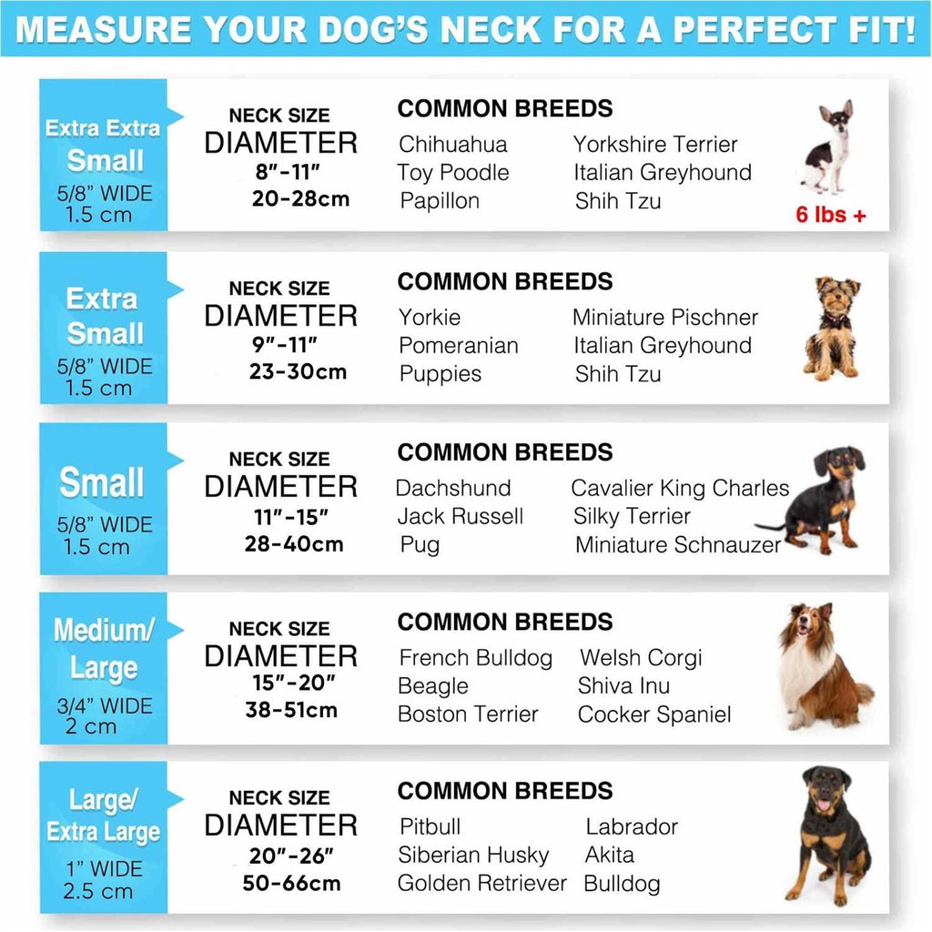Reflective Dog Collar Small N7004