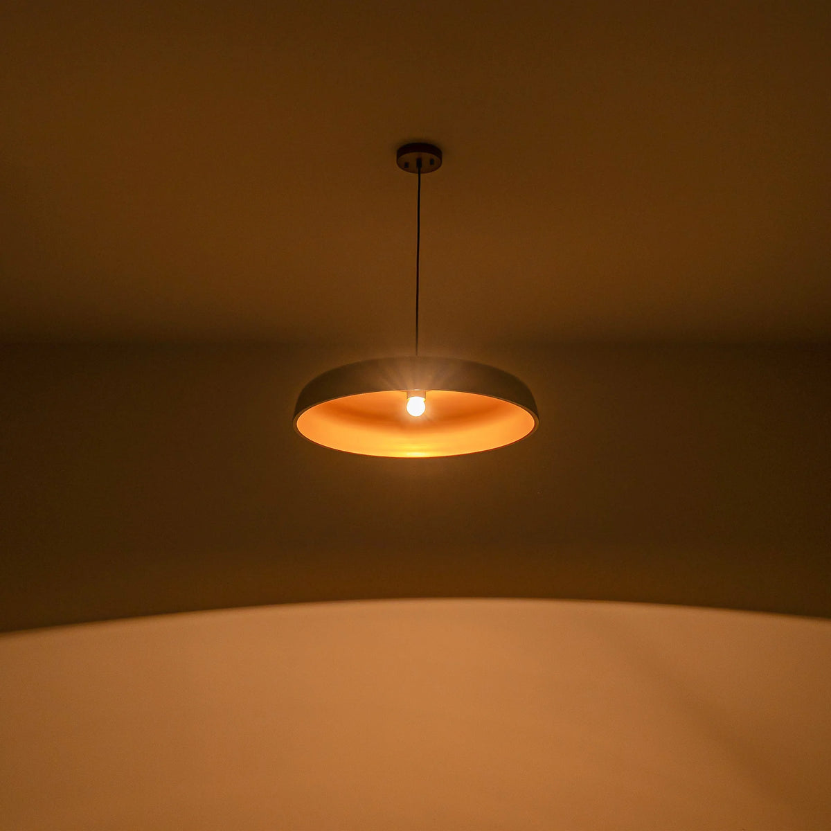 1-Light Dimmable Dome Mid-Century Modern Pendant M844