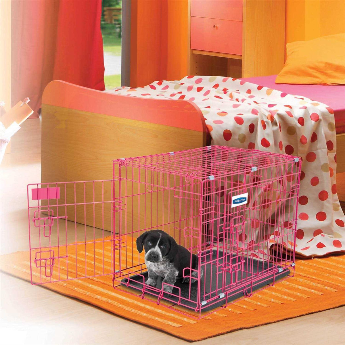 2 Door Training Retreat Kennel N52496