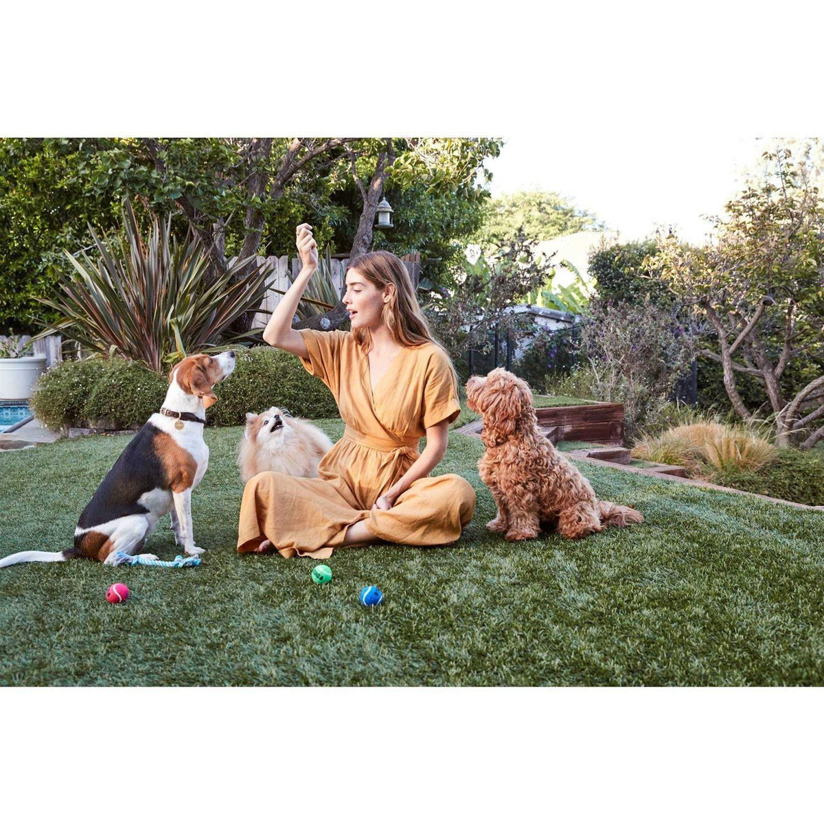 Beef Jerky Tenders Dog Treats Z620803