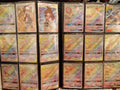 100+ Rainbow Rare Cards Binder Collection with 5 Foils L860