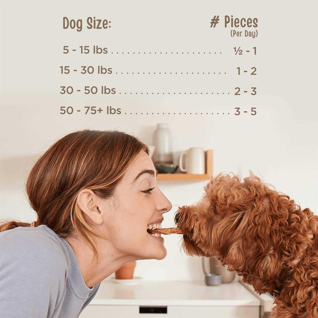 Beef Jerky Tenders Dog Treats Z620803