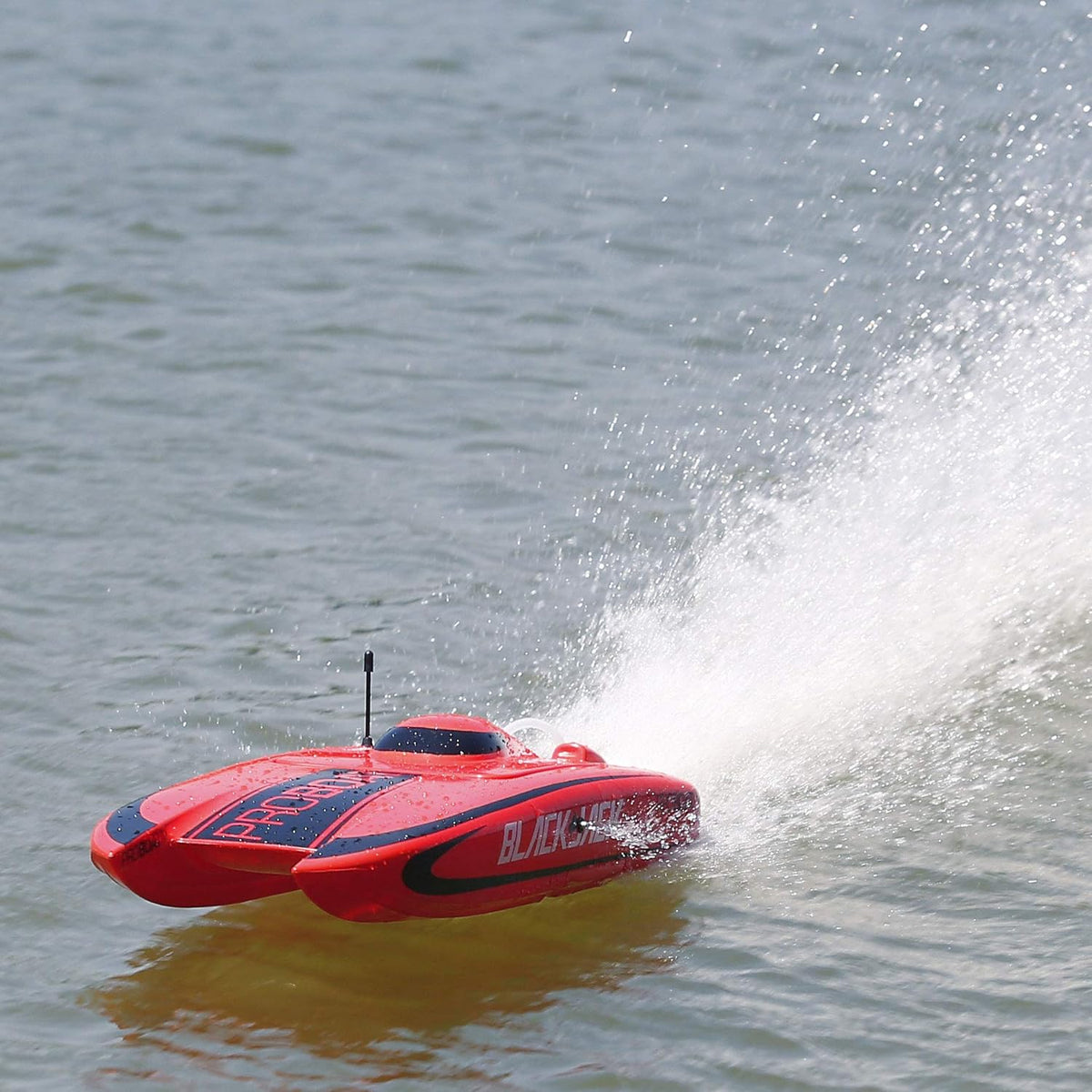 Blackjack 24 Brushless Catamaran RTR R266