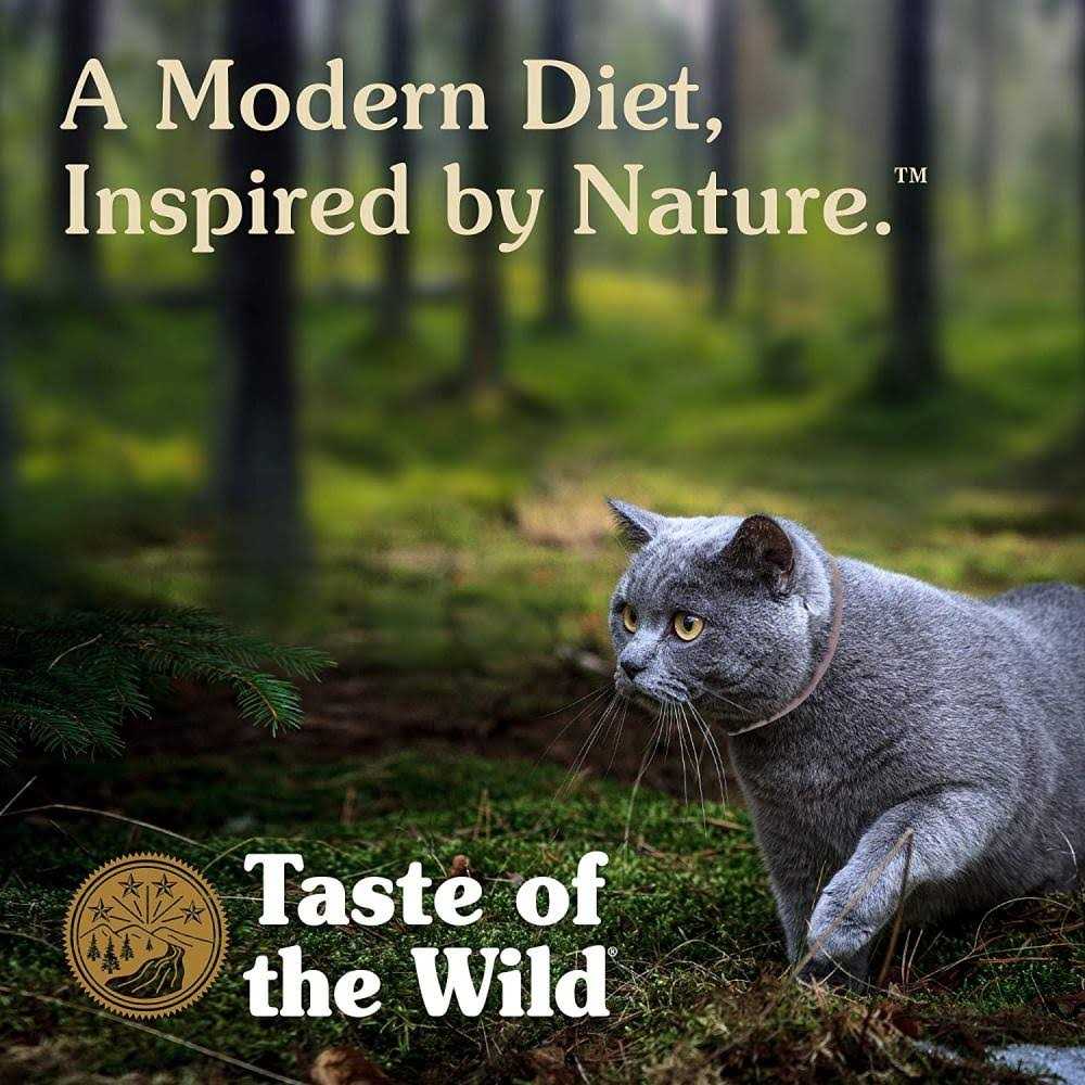 Canyon River Cat Food H510