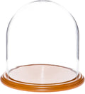 Glass Display Dome Cloche with Oak Veneer Base J398205