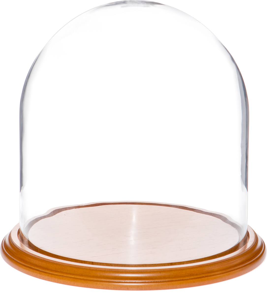 Glass Display Dome Cloche with Oak Veneer Base J398205