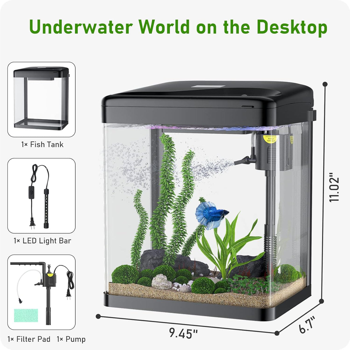 2 Gallon Glass Fish Tank with Filter Light Z983801