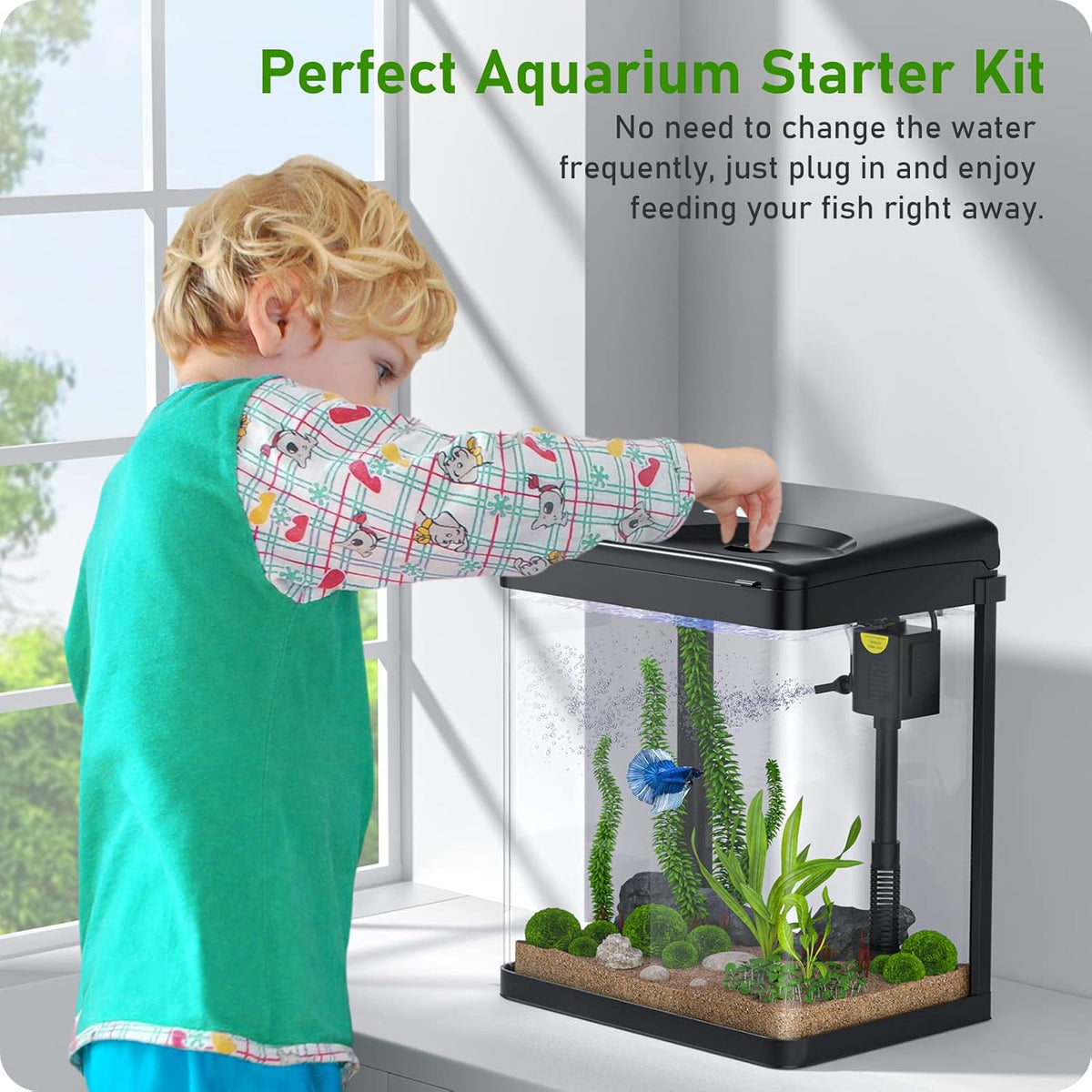 2 Gallon Glass Fish Tank with Filter Light Z983801