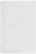 Clear Plastic Poly Bags, 2 mil, 6 inch x 9 inch, Case of 1000 L4976
