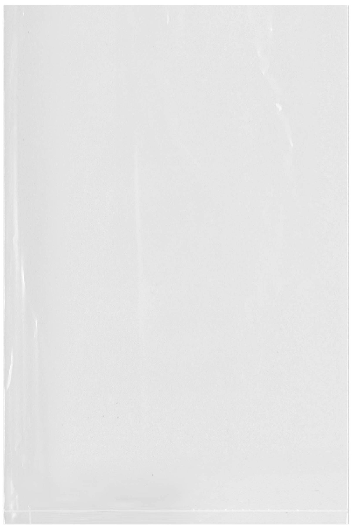 Clear Plastic Poly Bags, 2 mil, 6 inch x 9 inch, Case of 1000 L4976