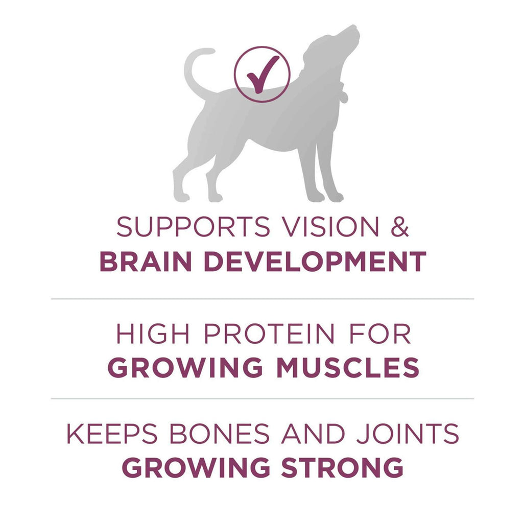 Healthy Puppy Formula Dry Food B122