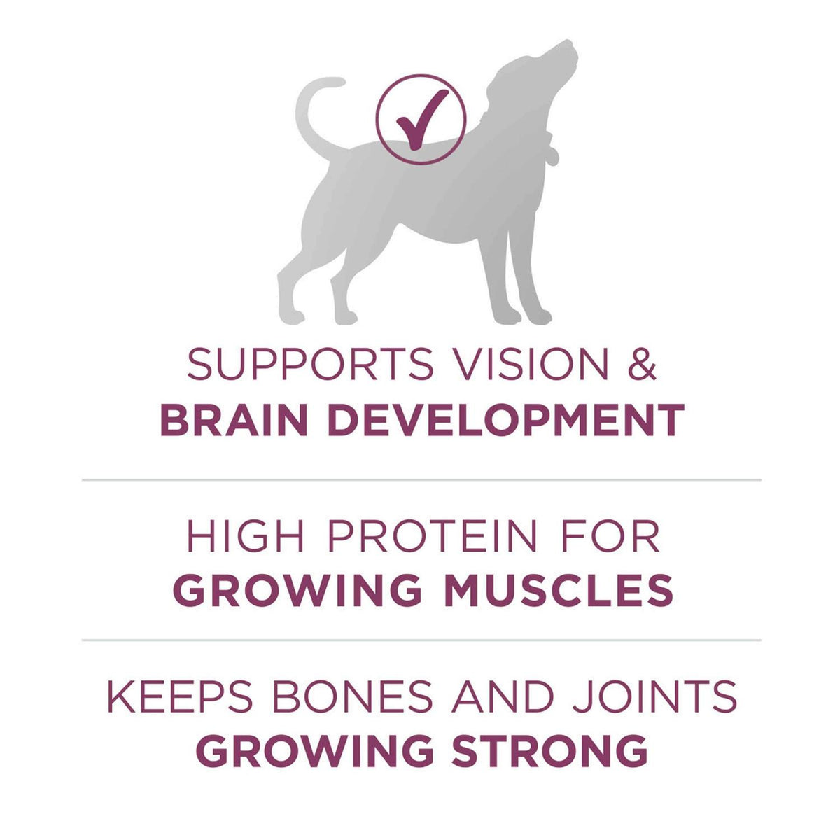 Healthy Puppy Formula Dry Food B122