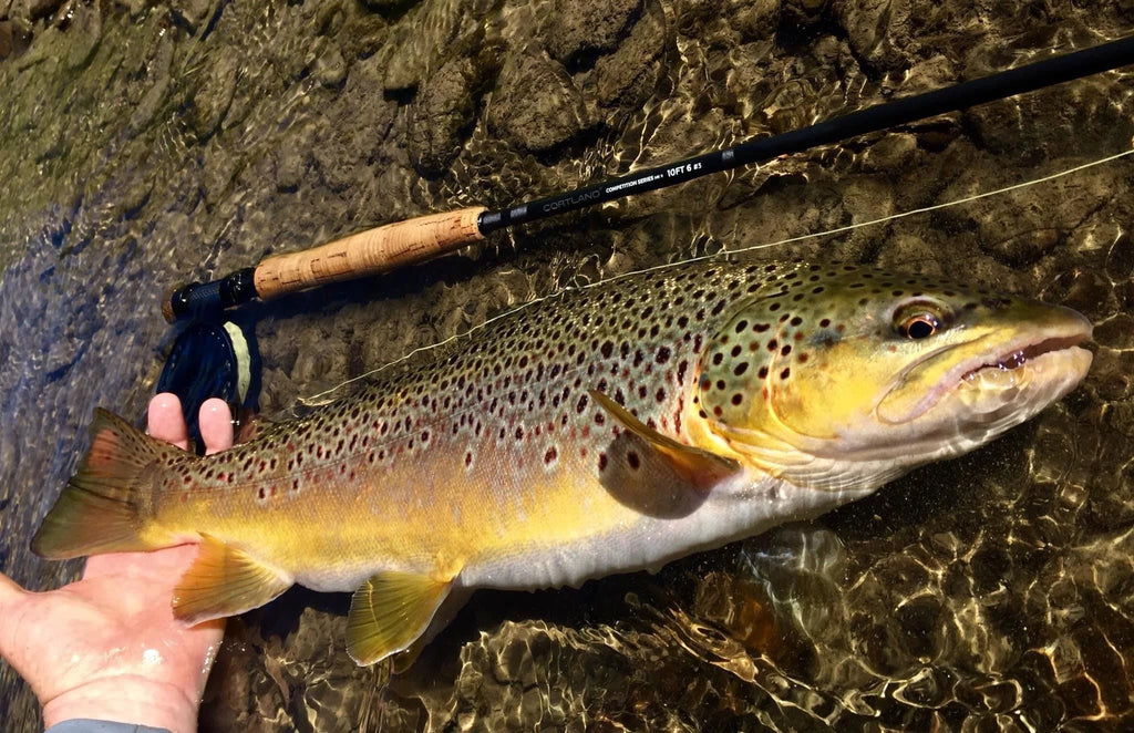 Euro Style Nymphing Fly Rod D685596
