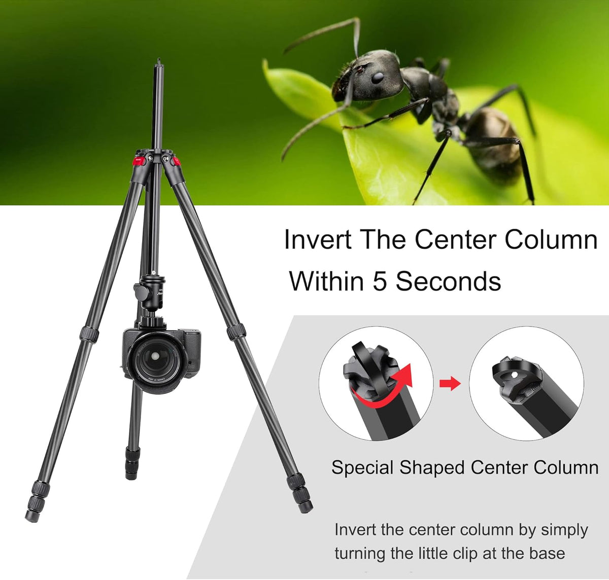 63 Carbon Fiber DSLR Camera Tripod Monopod Kit T952805