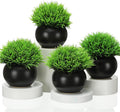4 Pack Artificial Succulent Plants in Matte Black Ceramic Pots G2572