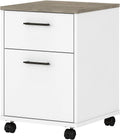 2 Drawer Mobile File Cabinet H240232
