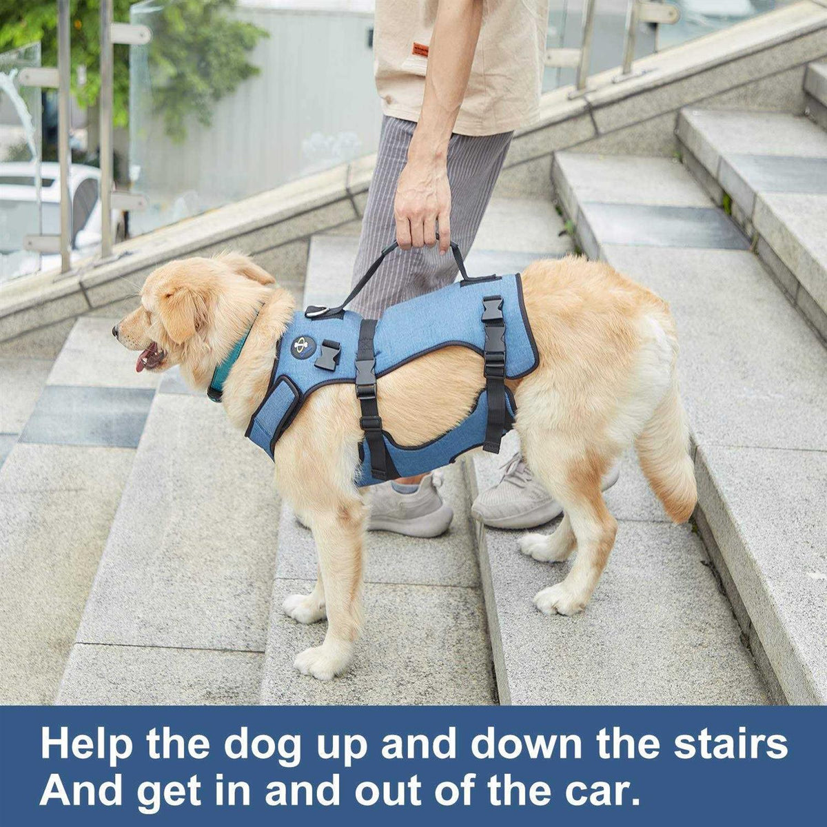 Adjustable Breathable Dog Lift Harness U1994