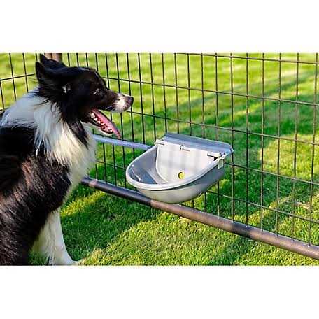 Pet Gazebo Automatic Waterer J770