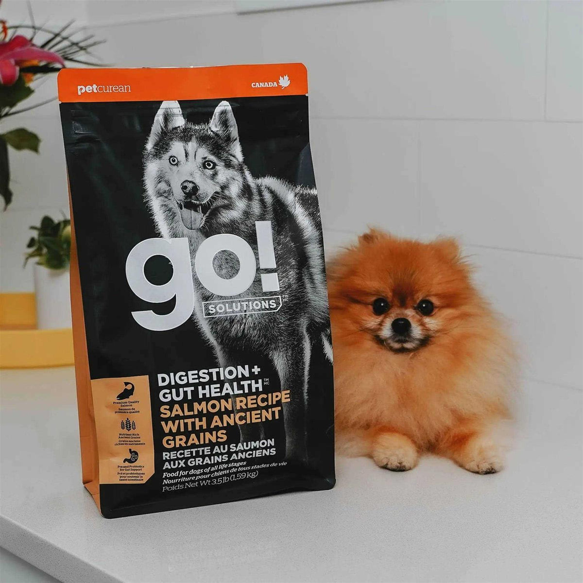 Salmon Recipe with Ancient Grains Dog Food J371