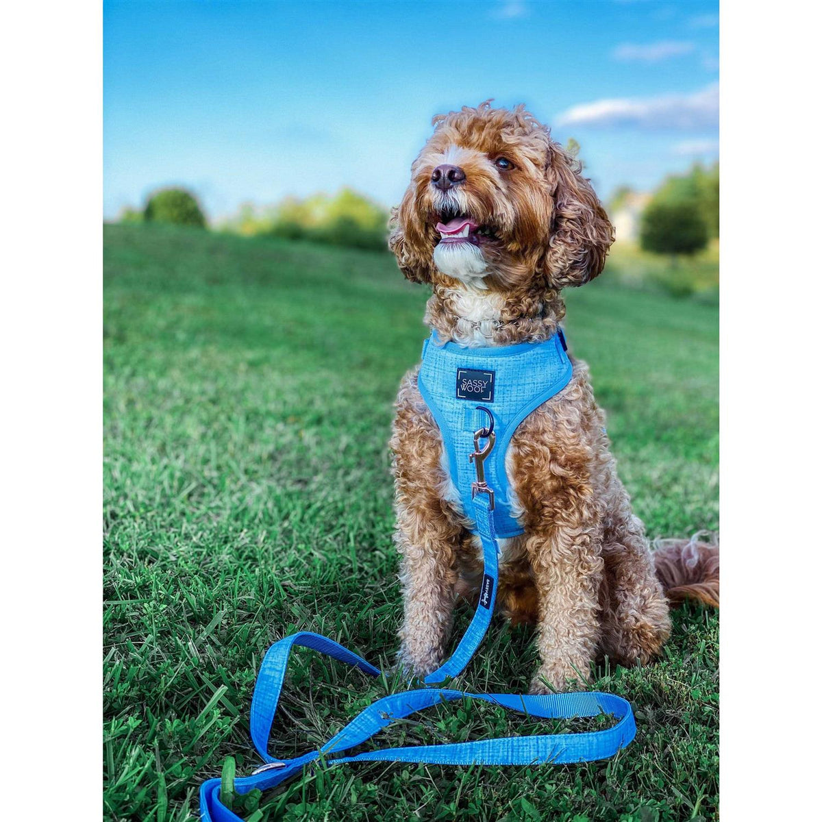 Adjustable Harness P829