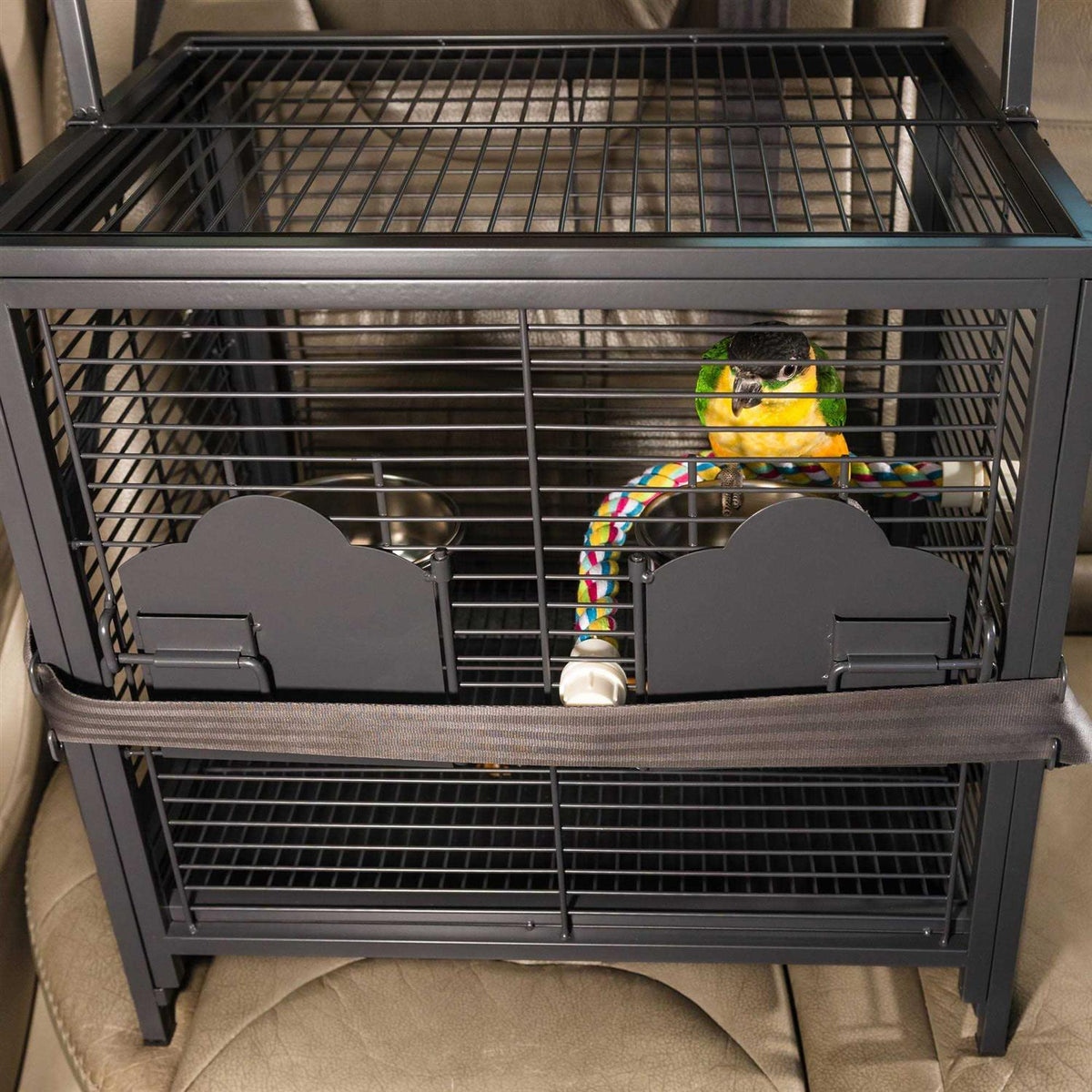 Pet Travel Carrier K23604