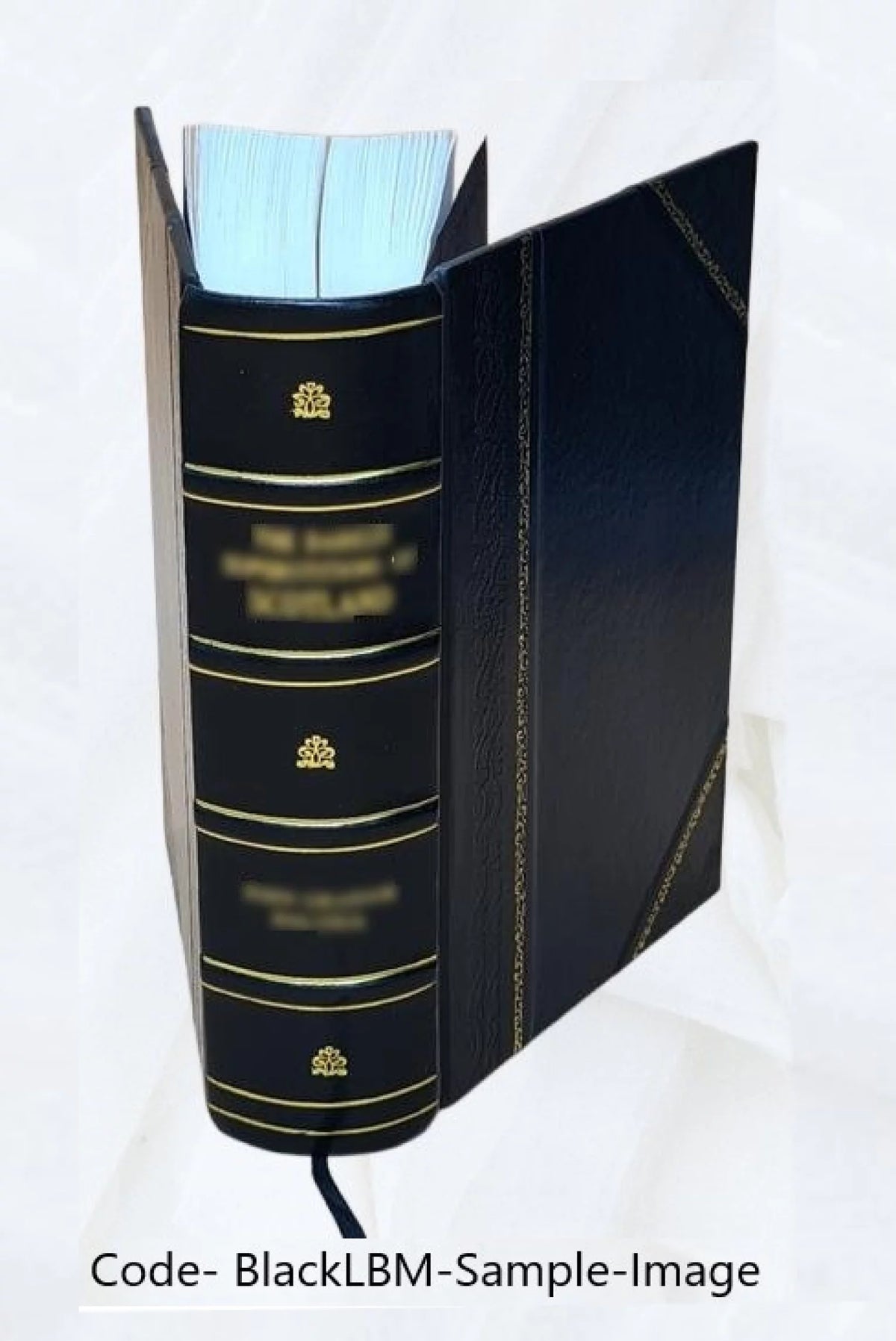 Nineteenth Ohio Battery Volunteer Artillery Leather Bound G32901